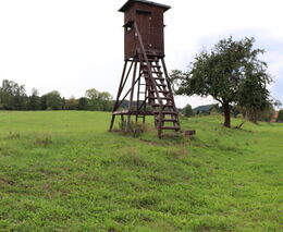 Proč politici naslouchají myslivcům? Popisujeme, jak funguje vlivná lobby