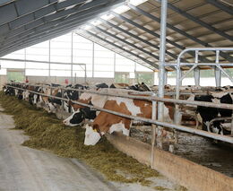 Jak dotáhnout projekt na podporu investic z PRV do úspěšného konce?