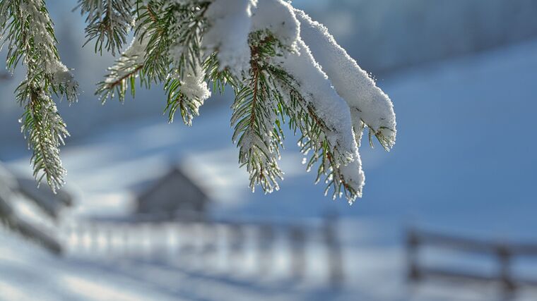 Krásné Vánoce a vše nejlepší do roku 2026!