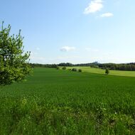 Česko je papežštější než papež. Podmínky pro farmáře máme přísnější, než požaduje EU