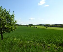 Jan Štefl: Potravinová soběstačnost ve všech komoditách je neufinancovatelná utopie