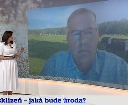 J. Štefl: Čeští zemědělci nemají na cenu potravin vliv, neboť neurčují cenu zemědělských prvovýrobků