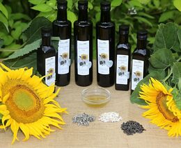 Pozvánka na Polní den Carboneg na Farmě Markových