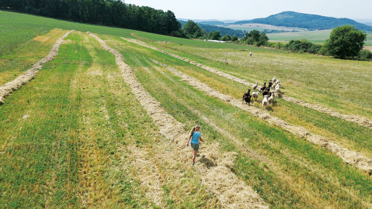 Farmářka Vladislava Velíková: Kráva v říji se chová jako kráva.