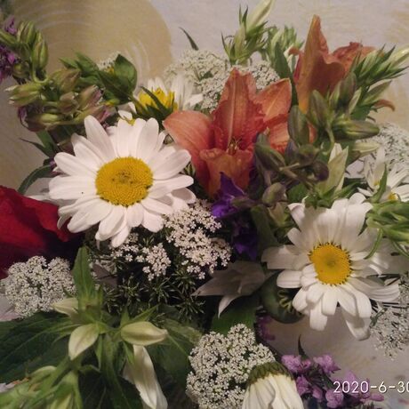 Brdské kvítí (Vladimíra Stehlíková)