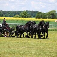 Statek a jezdecký klub Dolli Zálší