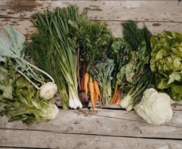 Fotky: Příběhy farmářek. Dnes o pojízdné prodejně s jídlem bez chemie