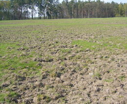 K vymáhání náhrad za škody zvěří