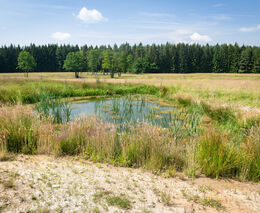 Pomozte vybrat šampiony v adaptacích na změnu klimatu! Hlasujte pro finalisty Adapterra Awards 2024