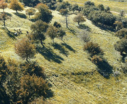 Farma Člupy - další zlatý medailista v programu ASZ ČR Pestrá krajina