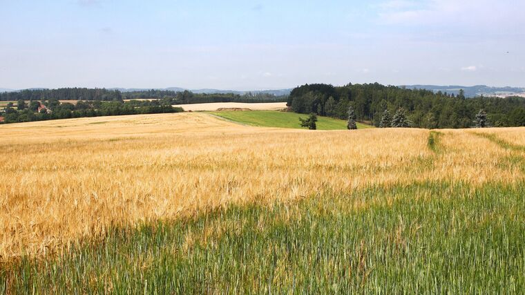 Infoservis z IFOAM ORGANICS EUROPE červenec 2025
