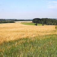 Vláda chce dát zemědělcům předkupní právo na půdu. Část farmářů je proti