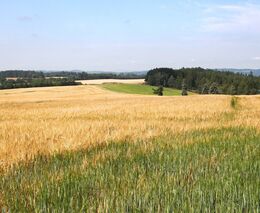 Infoservis z IFOAM ORGANICS EUROPE červenec 2025