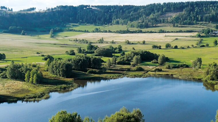 Původně chtěl jen chalupařit, dnes má Jaroslav Prchal v Nežichově biofarmu 