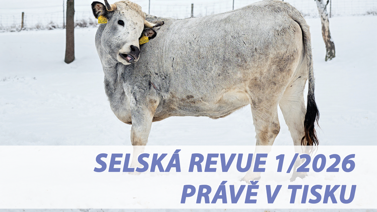 Selská revue č. 1/2026 je již v tisku 