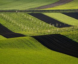 Jak na zdravou a živou krajinu - pozvánka na seminář