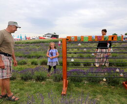 Investujeme do smysluplné péče o životní prostředí. 180 milionů posíláme na ekologickou výuku dětí