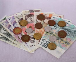 Za chyby v dotacích včetně Babišova střetu zájmů má ČR zaplatit 85 mil. Kč