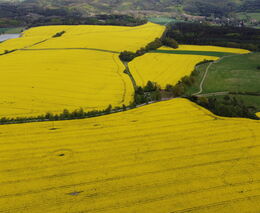 Vesničko má Babišova. Agrofert kupuje známé „JZD“ i s rudou hvězdou