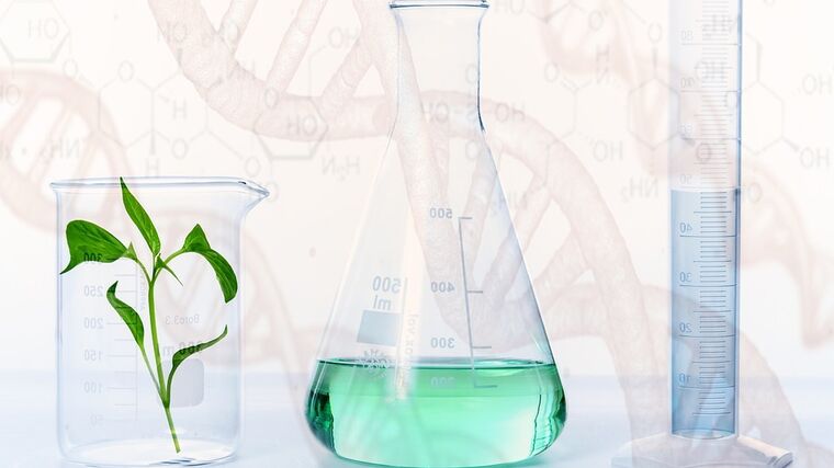 On-line seminář „Současné poznatky hodnocení GMO a produktů nových technik ve šlechtění“
