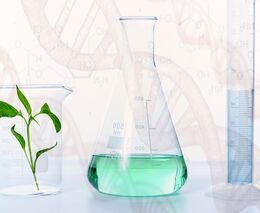 On-line seminář „Současné poznatky hodnocení GMO a produktů nových technik ve šlechtění“