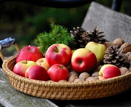 Pozvánka na Jablečný den v Kroměříži