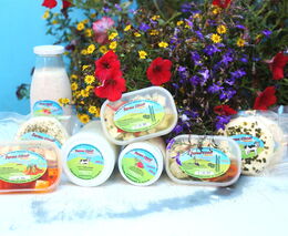 Pěstování některých plodin se už kvůli cenám energií nevyplatí, varují zemědělci