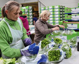 Místo zpřísnění přišlo uvolnění pravidel pro dohodáře. Letos mohou vydělat víc, hlásit nic nemusí
