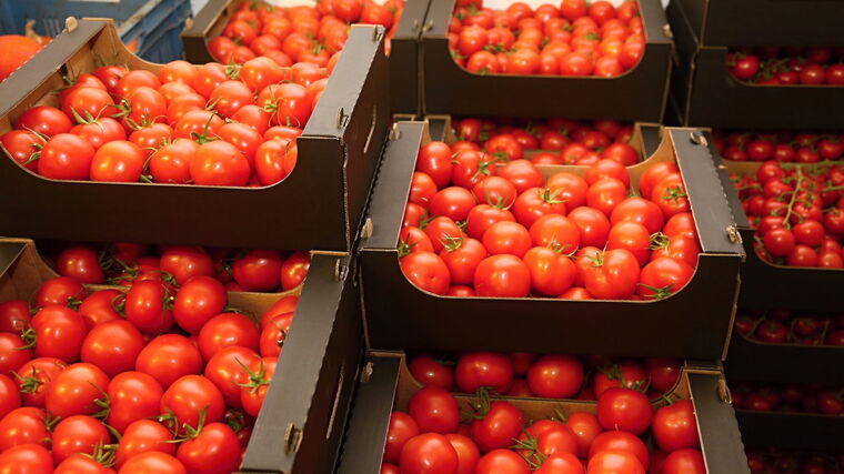 Krize nás učí, jak pěstovat plodiny při nižších teplotách, říká mladý farmář