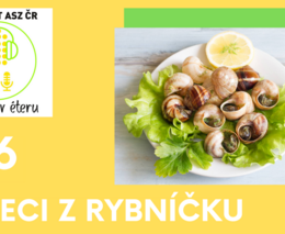 „Šneci jsou chytří a utíkají z výběhu překvapivě rychle,“ říkají manželé Přikrylovi o chovu šneků