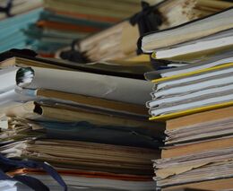 Postup pro zaměstnance s Mimořádným pracovním vízem