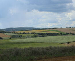 Green Deal je realita. Ale pojďme ho opravit, aby nás nestál svobodu a prosperitu