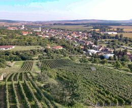 Pestrou krajinu vytváří sedláci 