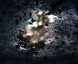 Vědci mají novou metodu pro odstranění škodlivých látek z čistírenských kalů