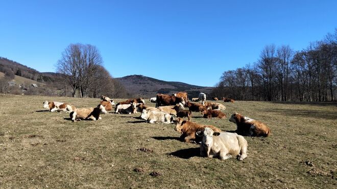 Bio farma Bedřichov